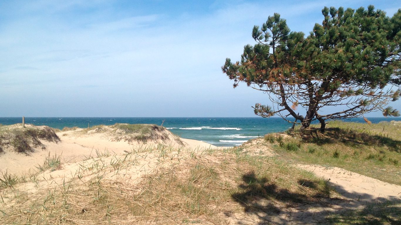 Stranden ved Asserbo på Nordsjælland - Sommerhusudlejning i Asserbo