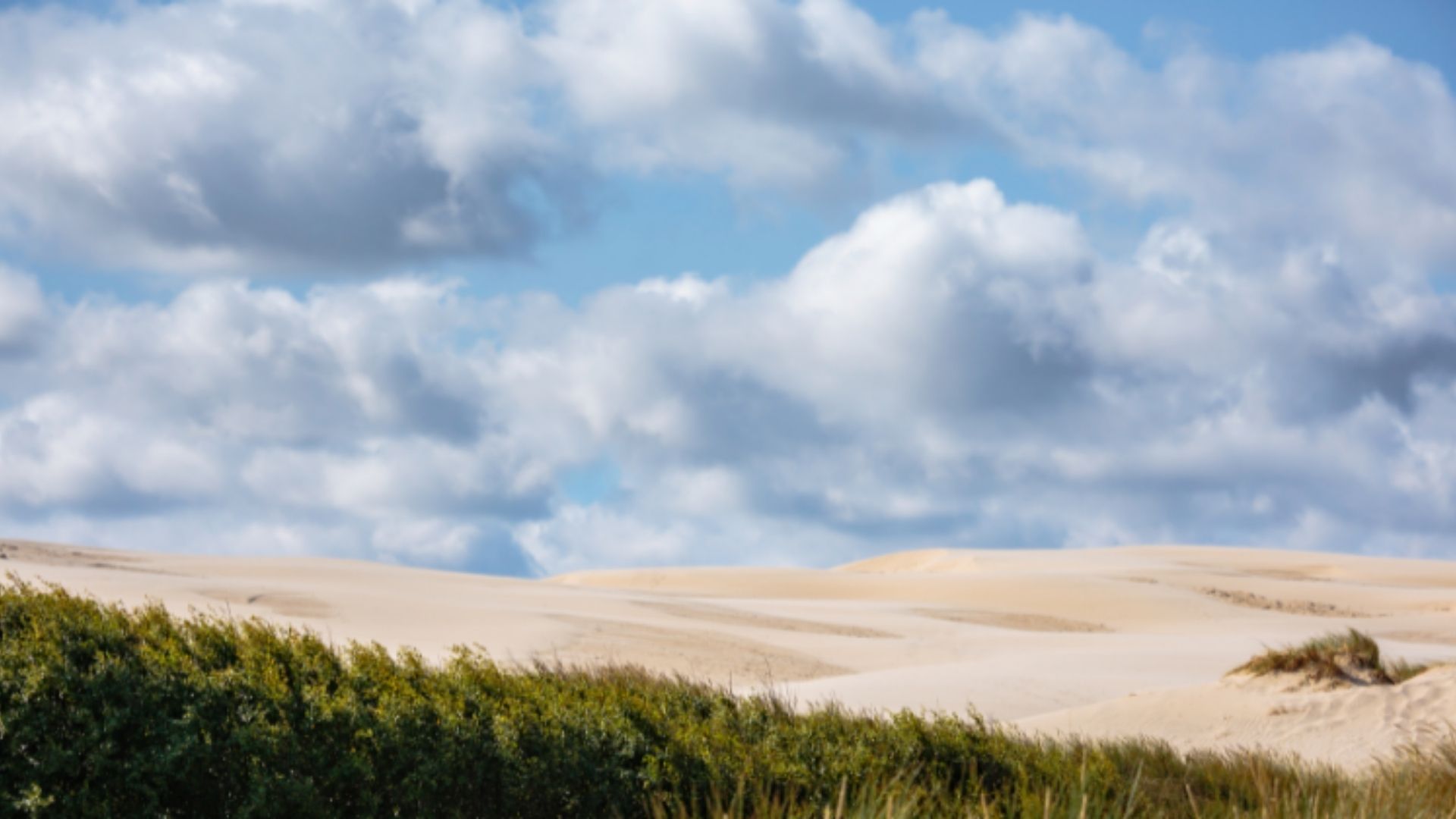 Råbjerg Mile i Nordjylland