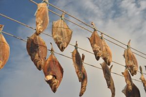 Nyfanget fisk på tørresnøre