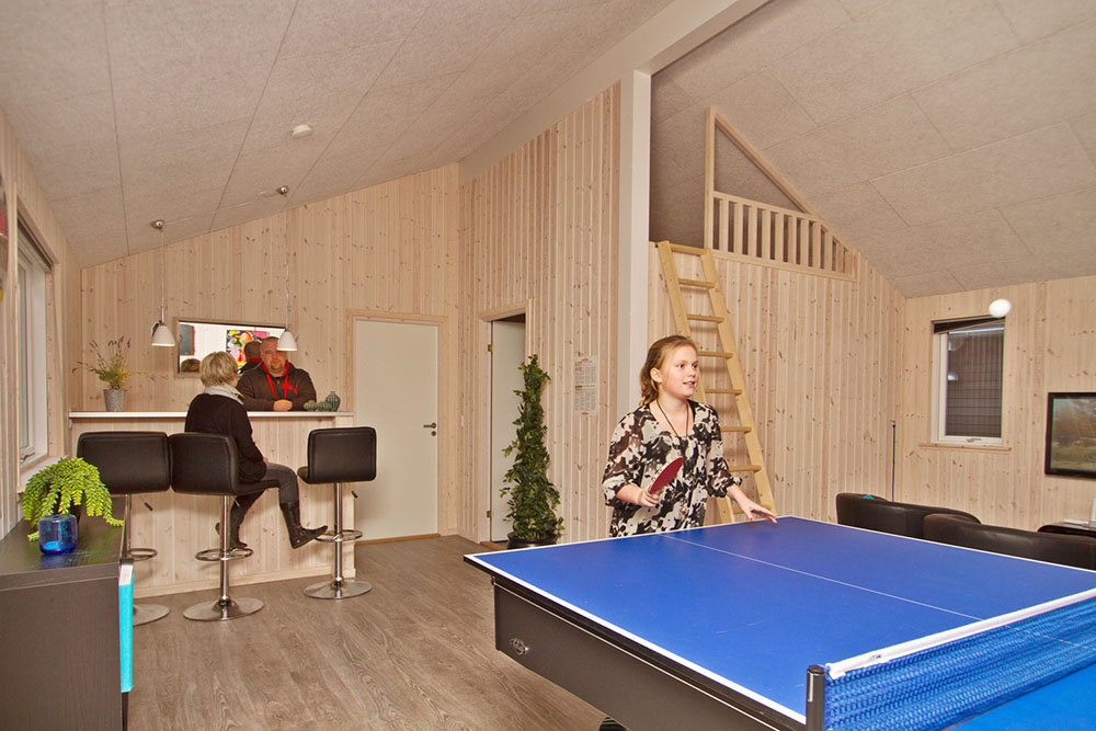 Luksushus nr. 295 til 18 personer tilbyr et stort aktivitetsrom med bl.a. biljard og dart