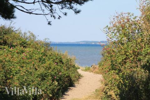 Stranden nær luksushus nr. 296 i Sydjylland er ideell til gåturer.