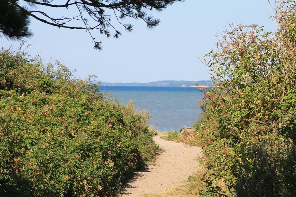 Stranden nær luksushus nr. 242 i Sydjylland er ideell til gåturer.