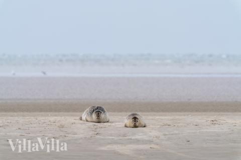 Besøk luksushus nr. 165 i Sydjylland.