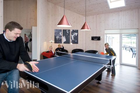 I tillegg til alle aktivitetsmulighetene i husets bassengavdeling, kan du også spille biljard, bordtennis og dart i luksushus nr. 214