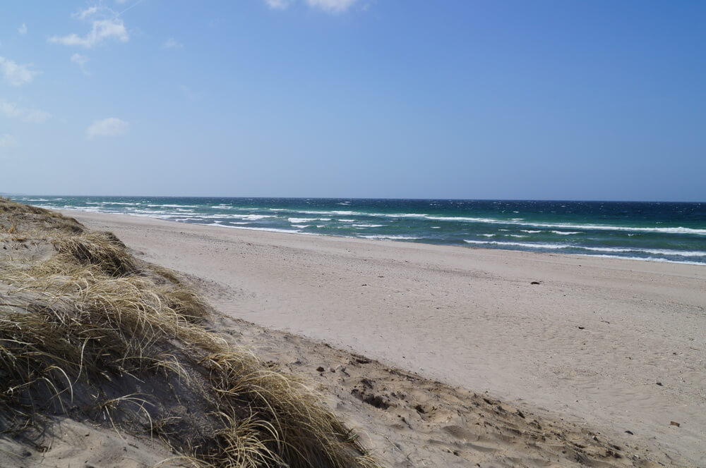 Stranden nær luksushus nr. 275 i Nordsjælland er ideell til gåturer.
