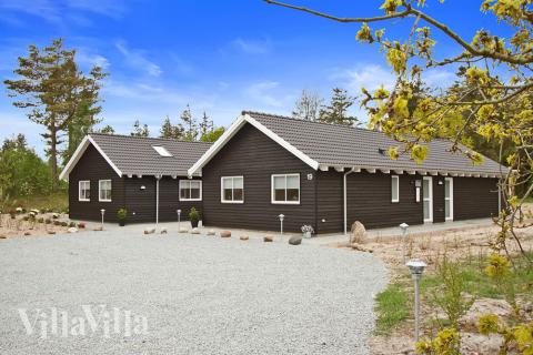 Hus nr. 313 med basseng og plass til 18 personer ligger i Vestjylland.