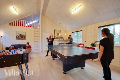 Luksushus nr. 334 til 16 personer tilbyr et stort aktivitetsrom med bl.a. biljard og dart