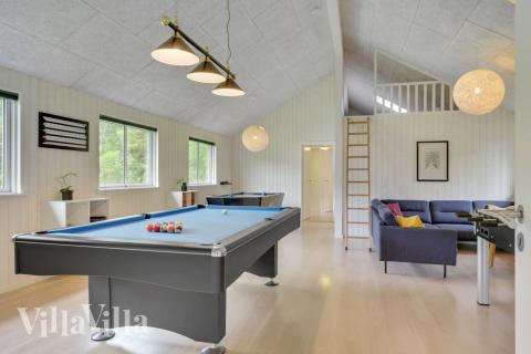 Luksushus nr. 365 til 20 personer tilbyr et stort aktivitetsrom med bl.a. biljard og dart