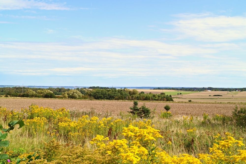 Besøk luksushus nr. 397 i Nordsjælland.