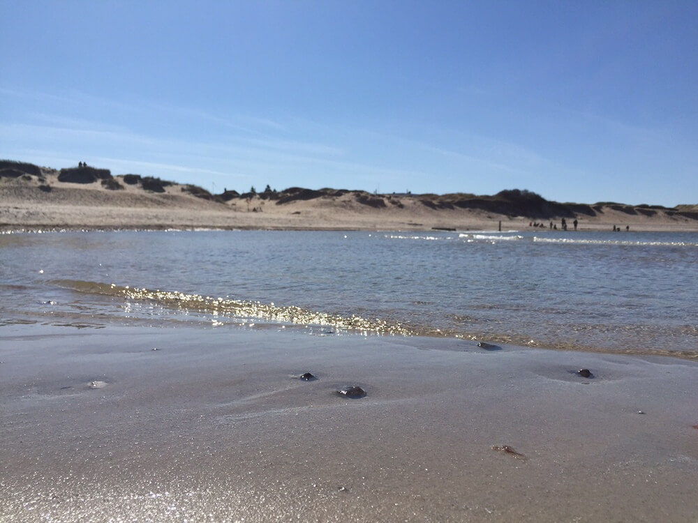 Den flotte stranden nær luksushus nr. 414 ved Nordsjælland.