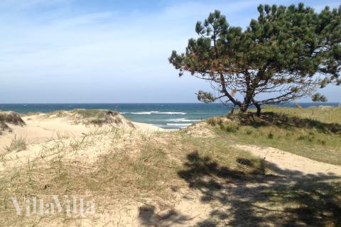Stranden nær luksushus nr. 436.