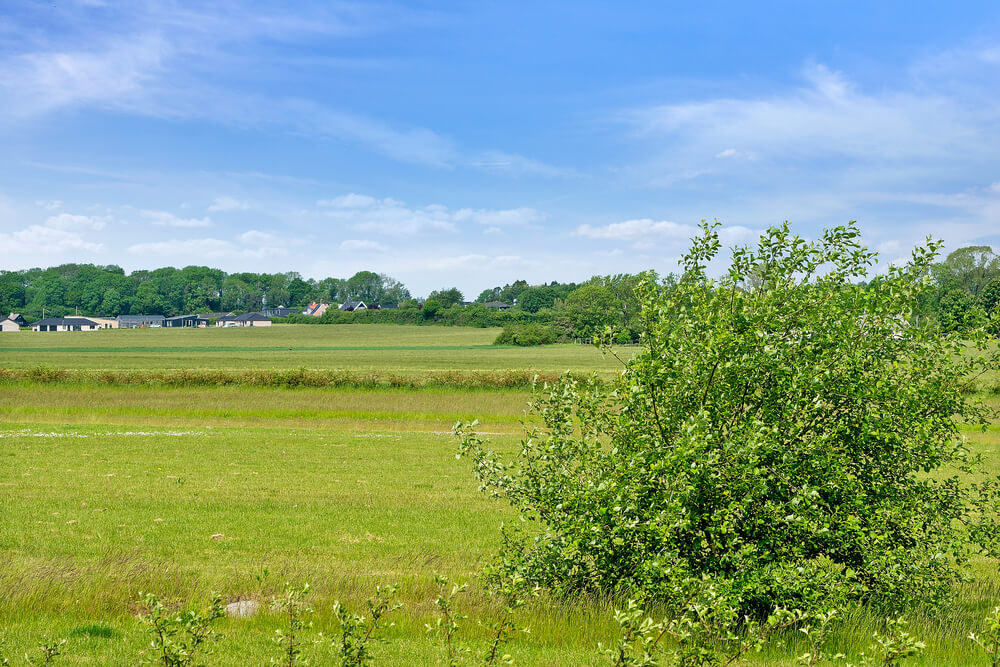 Herlig feriehus nr. 443