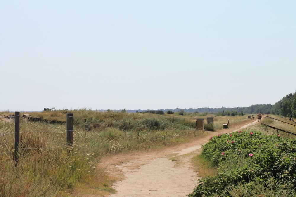 Den flotte stranden nær luksushus nr. 481 ved Lolland/Falster/Møn.