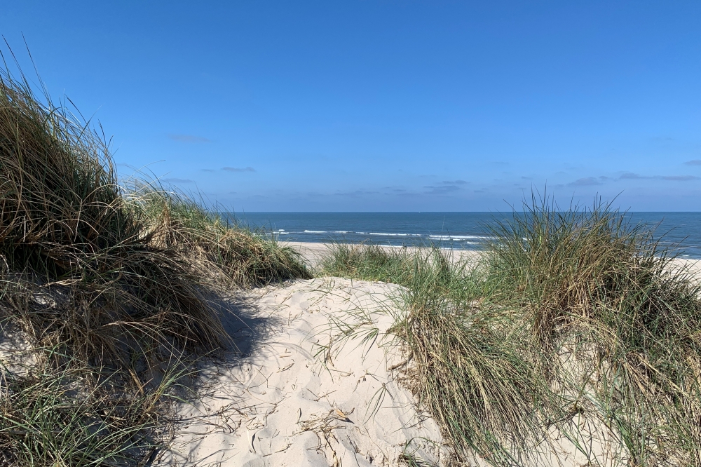 Stranden nær luksushus nr. 560.
