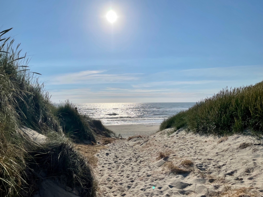 Den flotte stranden nær luksushus nr. 557 ved Vestjylland.