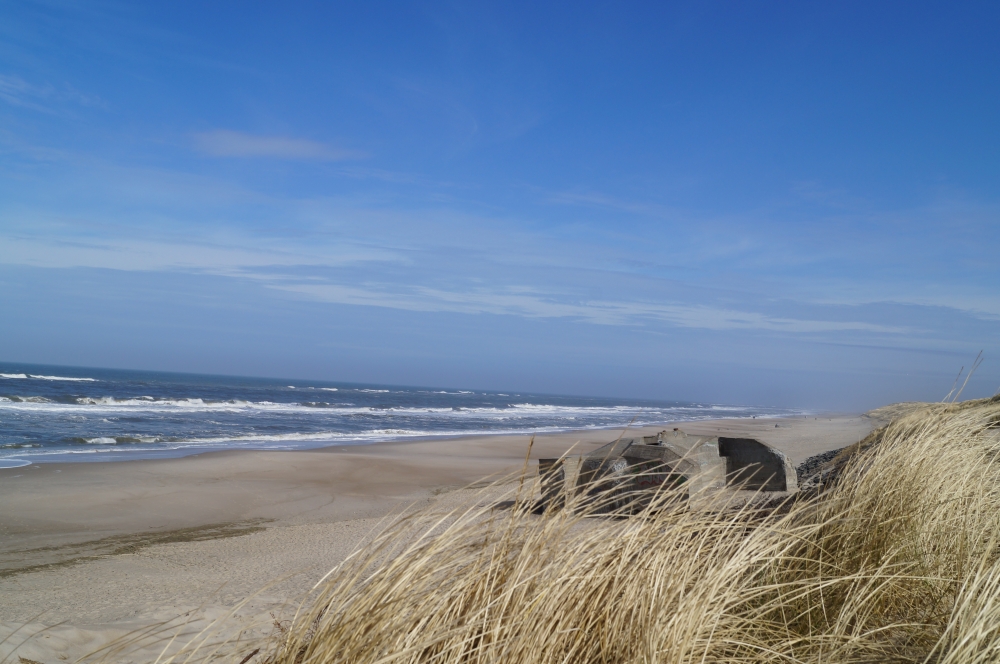 Stranden nær luksushus nr. 557 i Vestjylland er ideell til gåturer.