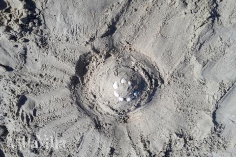 Den flotte stranden nær luksushus nr. 601 ved Sydjylland.
