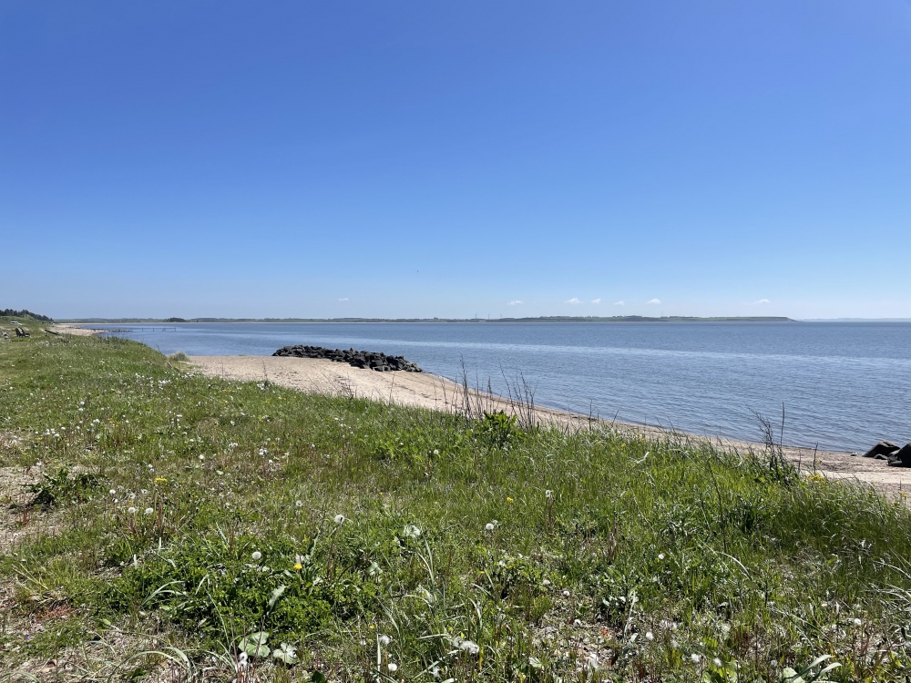 Den flotte stranden nær luksushus nr. 603 ved Limfjorden.