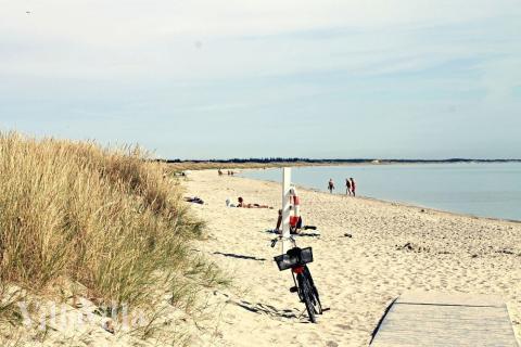Den flotte stranden nær luksushus nr. 615 ved Nordjylland.