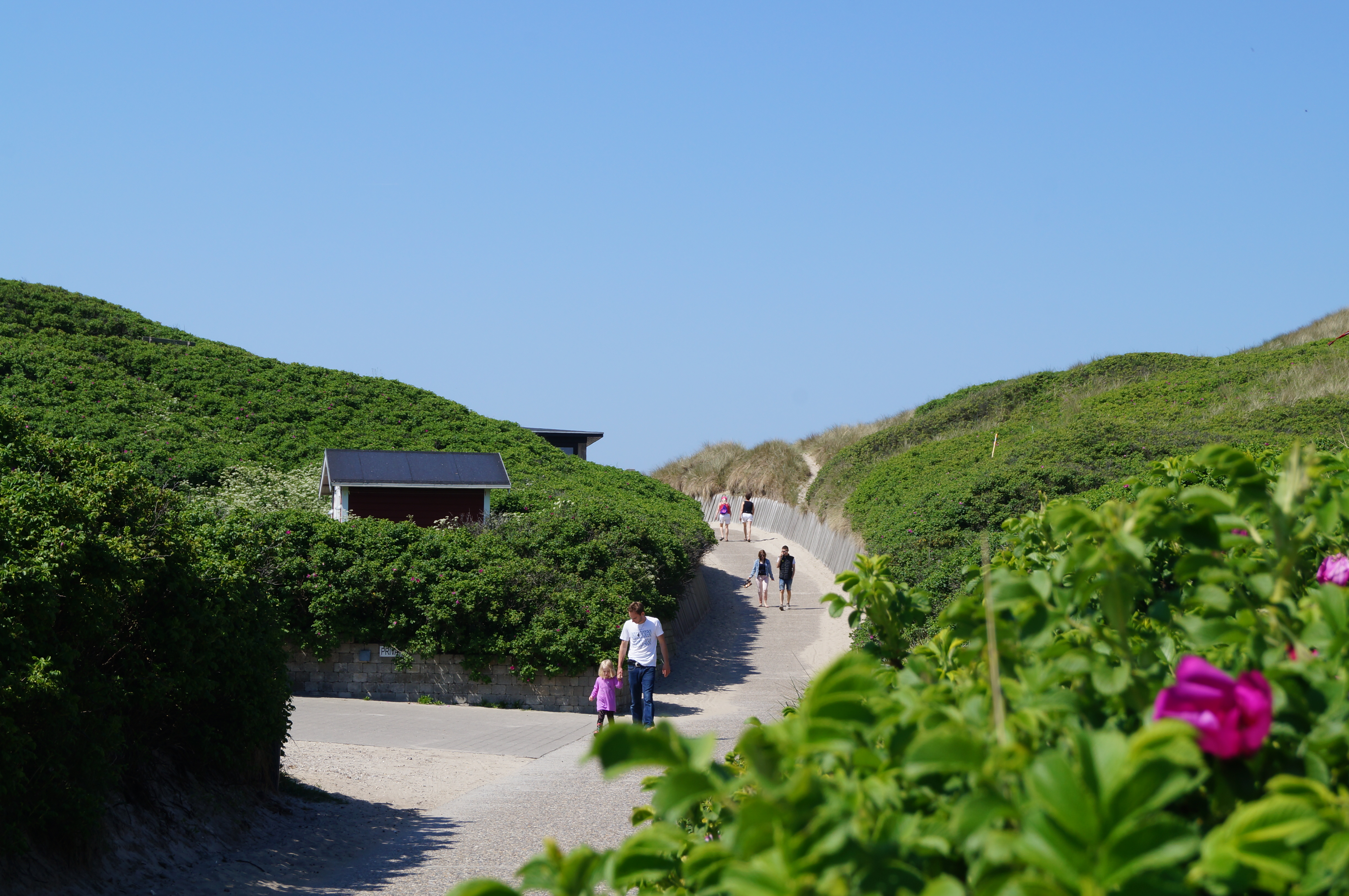 Det vakre området Vestjylland innbyr til et opphold i luksushus nr. 687.