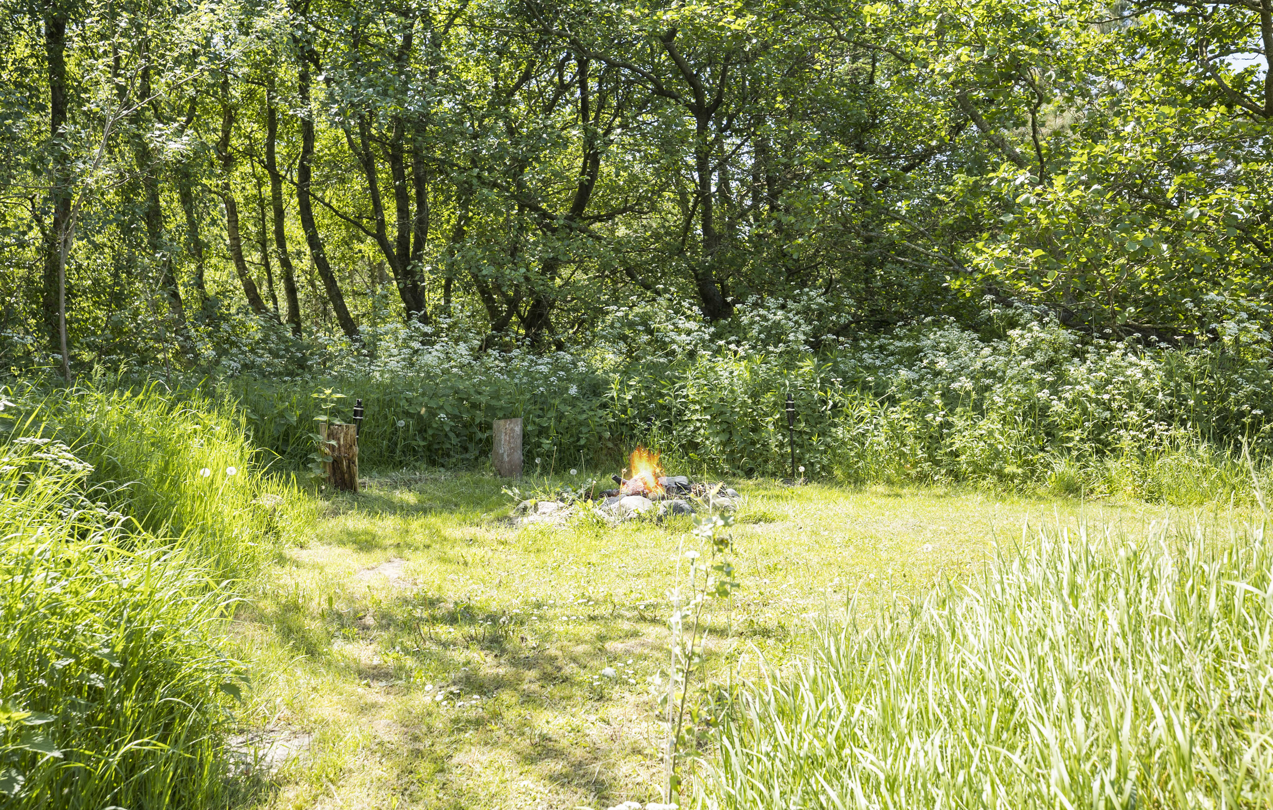 I det attraktive feriehuset nr. 182 i Sydjylland finnes det mengder av utendørsaktiviteter, som leketårn og huskestativ.