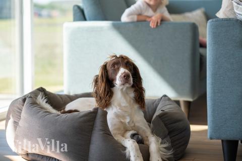 Sofaen i luksushus nr. 696 i Fyn og øyer er perfekt for å hygge seg med et brettspill eller se en film sammen.