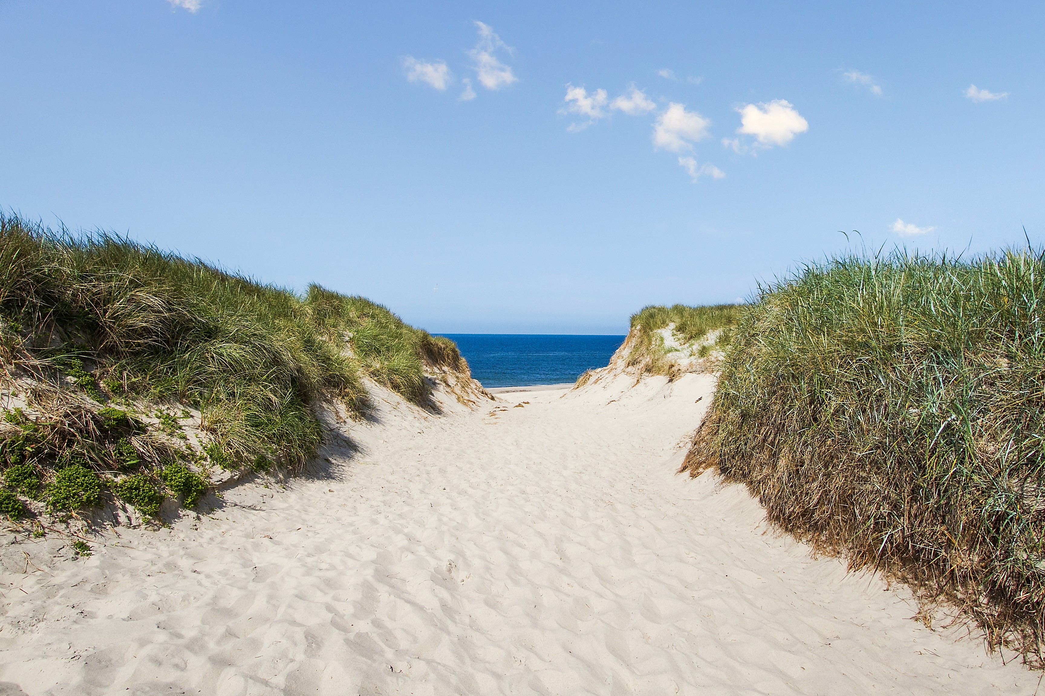 Den flotte stranden nær luksushus nr. 900 ved Vestjylland.