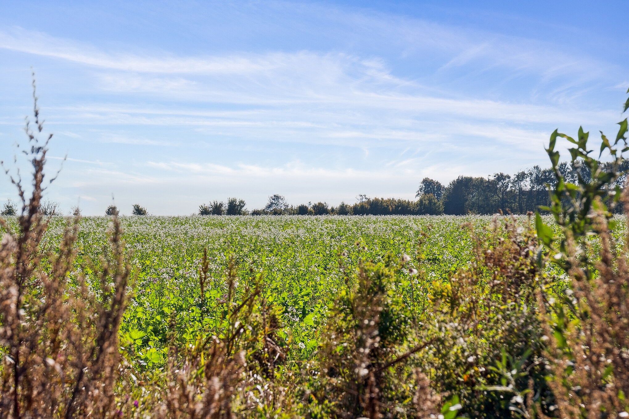 Det vakre området Fyn og øyer innbyr til et opphold i luksushus nr. 617.