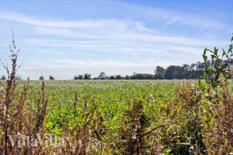 Det vakre området Fyn og øyer innbyr til et opphold i luksushus nr. 617.