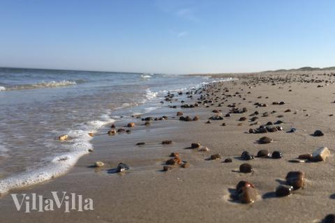 Stranden nær luksushus nr. 902.