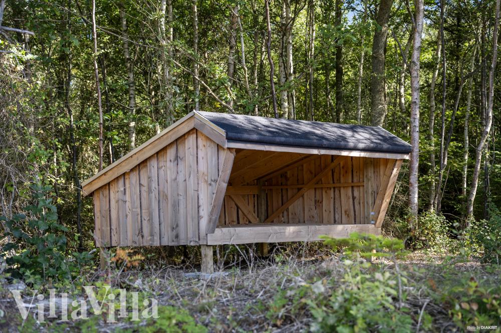 I tillegg til alle aktivitetsmulighetene i husets bassengavdeling, tilbyr også luksushus nr. 918 mengder av utendørsaktiviteter